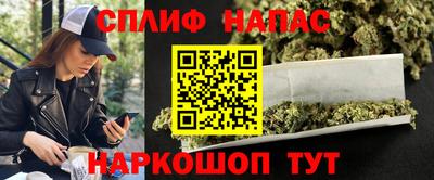 спиды Новозыбков