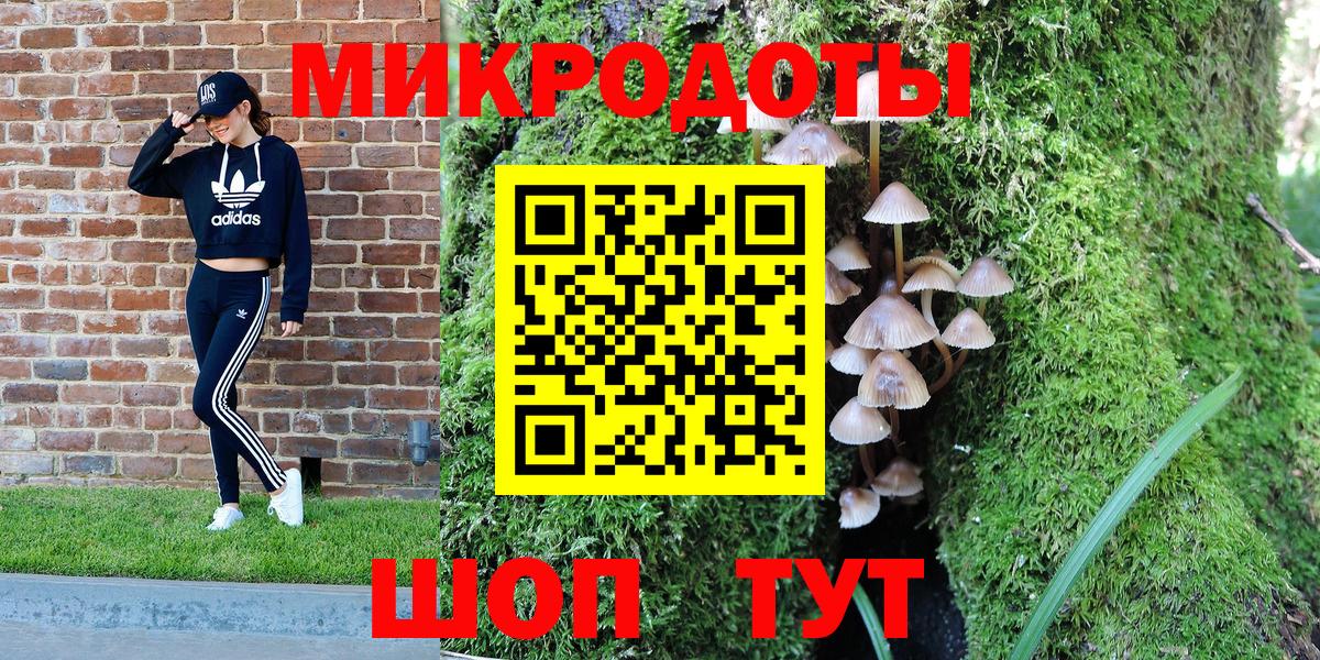 Галлюциногенные грибы GOLDEN TEACHER Владикавказ