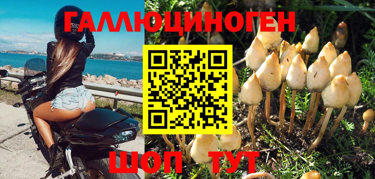 Владикавказ  Галлюциногенные грибы Magic Shrooms  Вход с VPN  Псилоцибиновые грибы мухоморы 